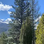 Chalet In Arles 12 Personnes Avec Vue Incroyable Barcelonnette